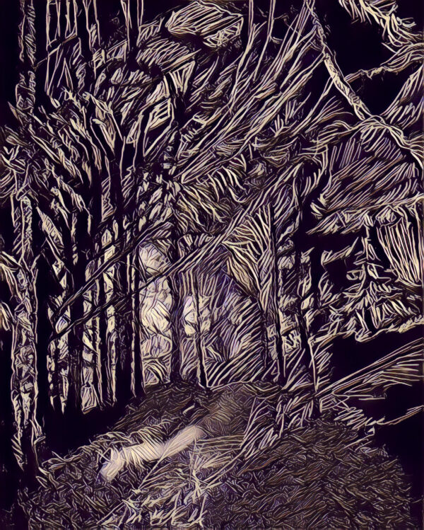 Forest Spirits - Digital for Print