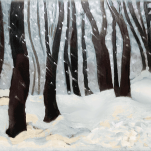 Winter Flurries oils on canvas 16X20