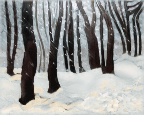 Winter Flurries oils on canvas 16X20